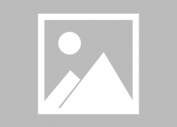 小说视频娱乐圈吃瓜,揭秘“吃瓜”背后的娱乐真相